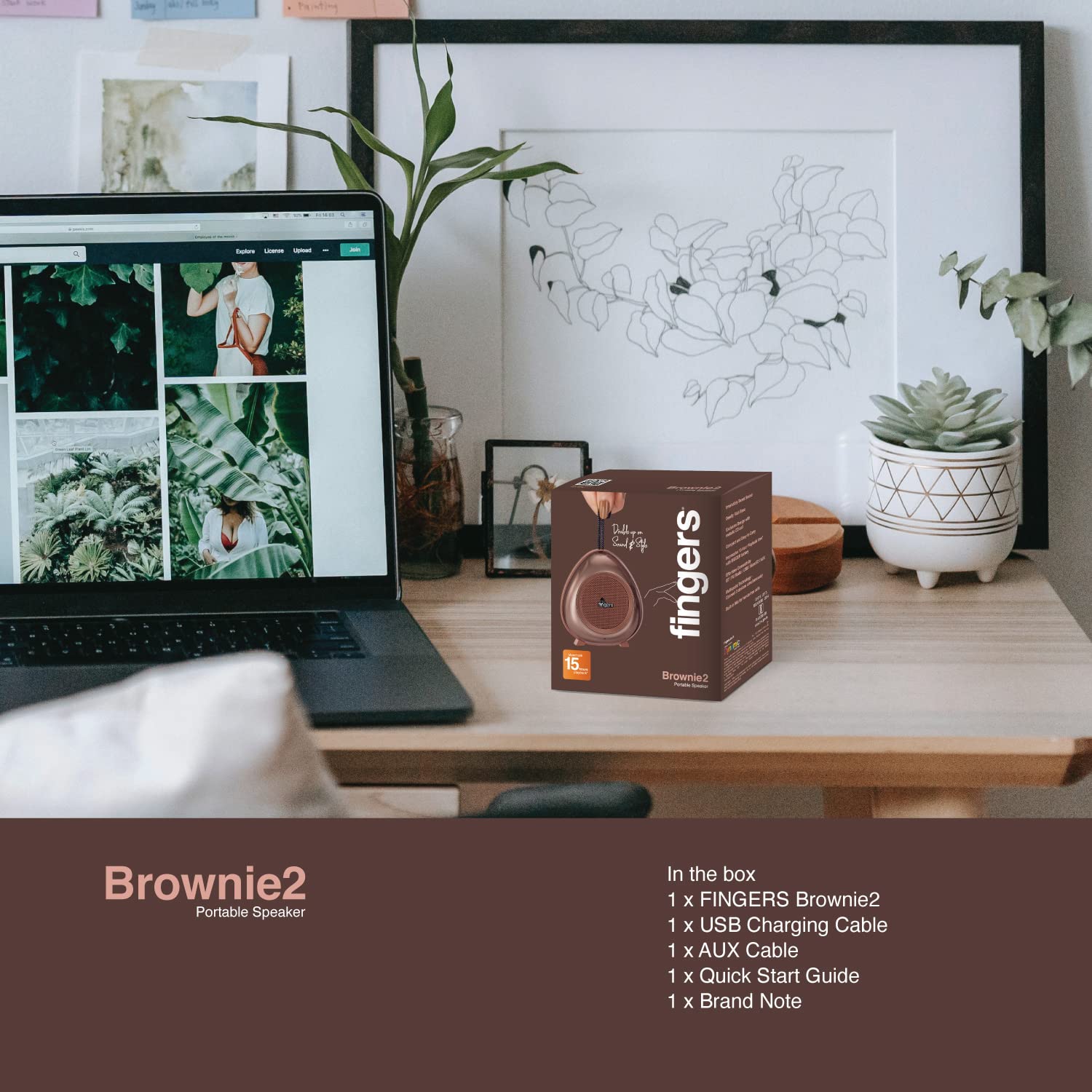 Brownie2